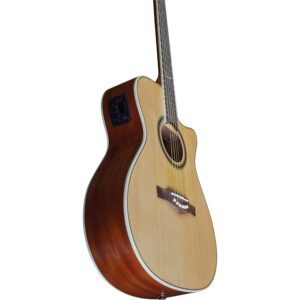 Eko Guitars - NXT A100ce Natural - immagine 2